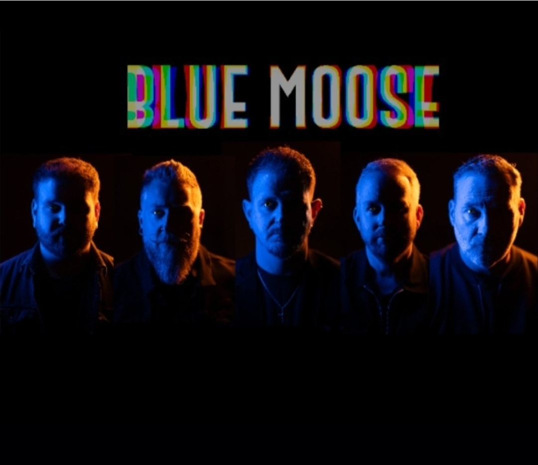 Blue Moose